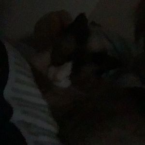 Meet your Posher, Ellis